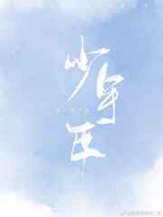 少年说