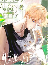 漂亮猫咪图片黑白色