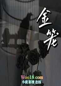 金笼自助餐单人套餐